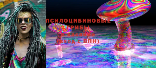 гидра Сясьстрой
